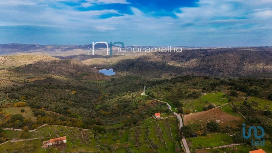 Terreno para Venda em Alverca da Beira/Bouça Cova Foto 9