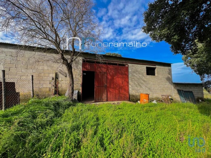 Terreno para Venda em Alverca da Beira/Bouça Cova Foto 2