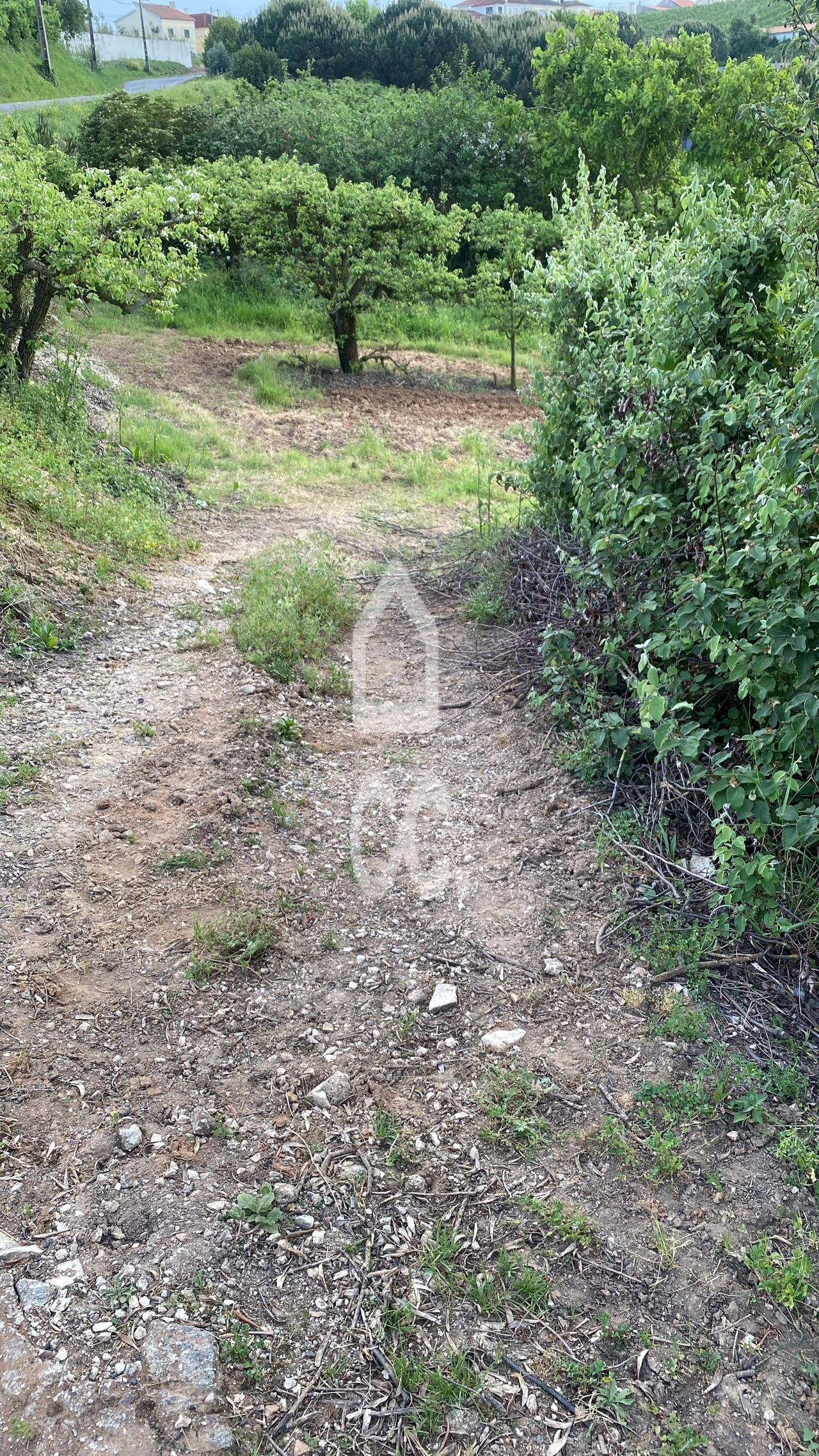 Terreno para Venda em Peral Foto 9