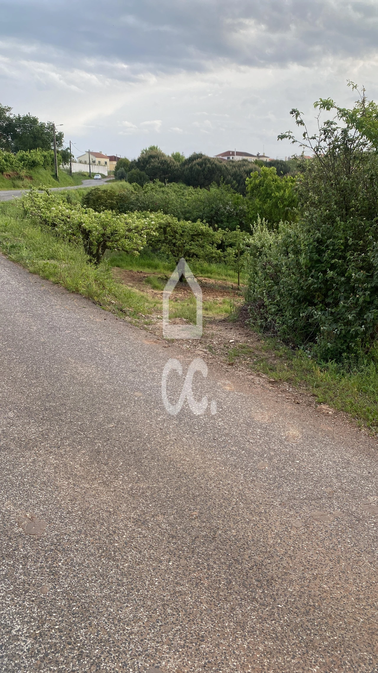 Terreno para Venda em Peral Foto 10