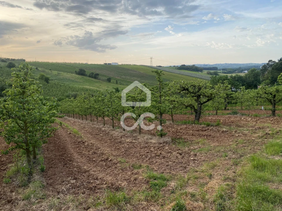 Terreno para Venda em Peral Foto 1