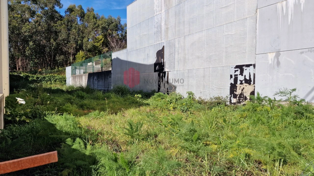 Terreno para Venda em Moreira Foto 4