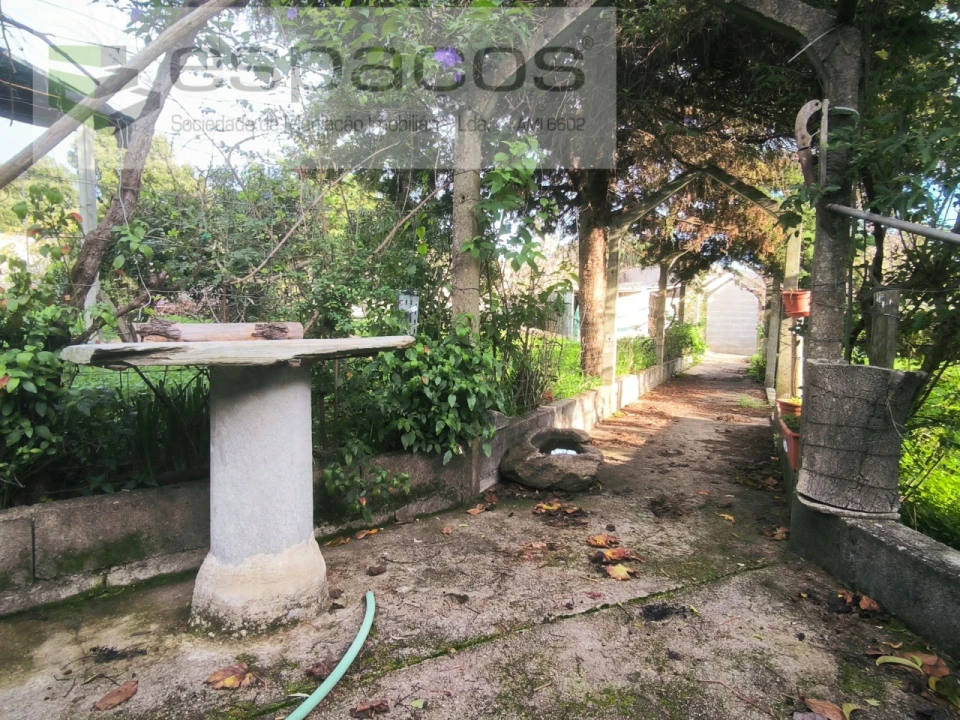 Moradia T3 para Venda em Sarzedas Foto 3