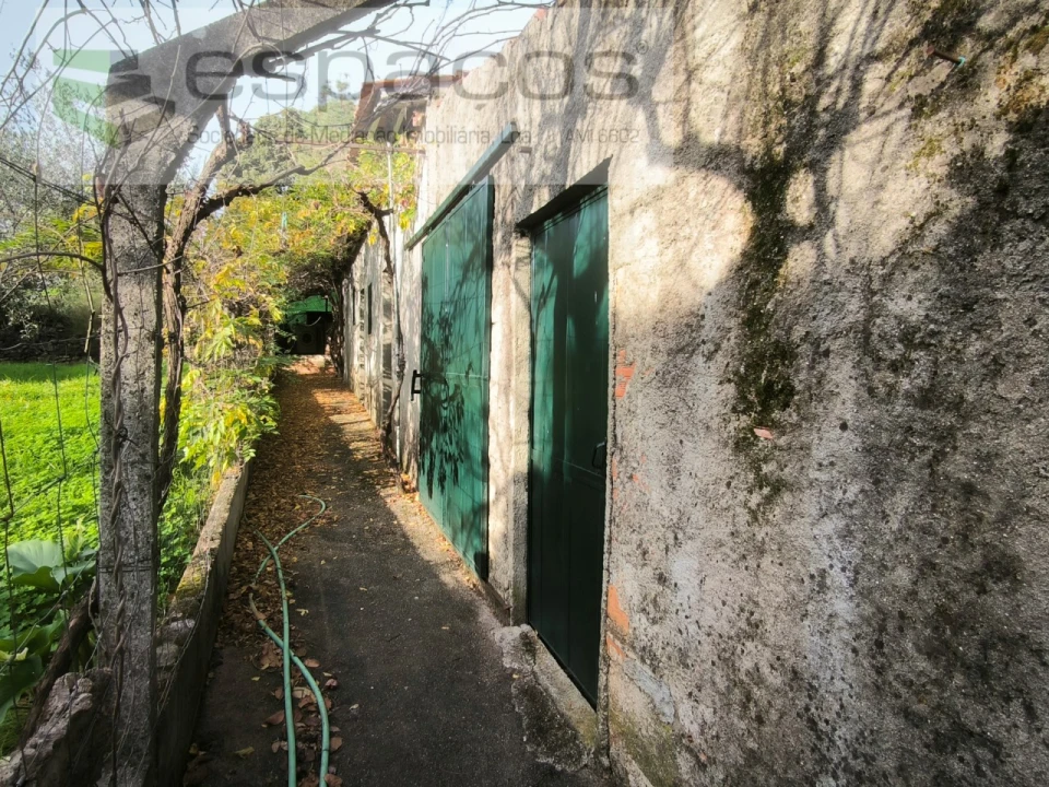 Moradia T3 para Venda em Sarzedas Foto 5