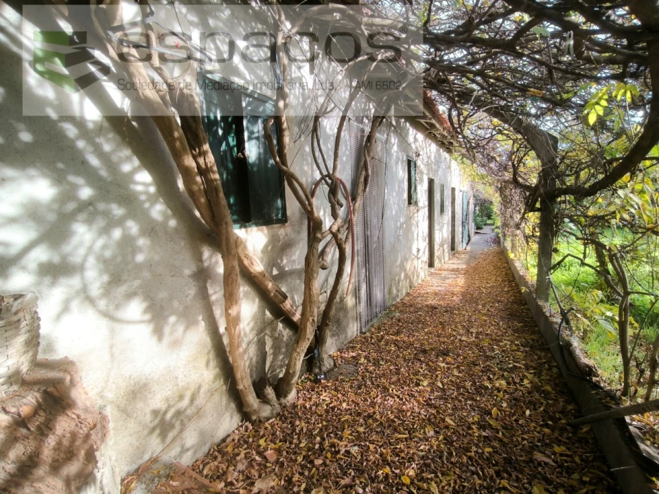 Moradia T3 para Venda em Sarzedas Foto 4