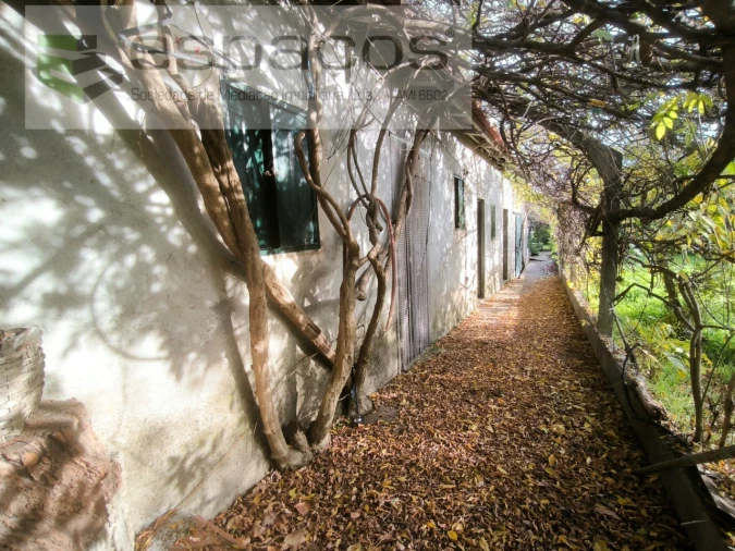 Moradia T3 para Venda em Sarzedas Foto 4