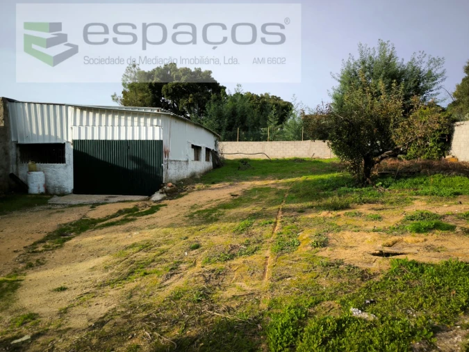 Moradia T3 para Venda em Sarzedas Foto 9