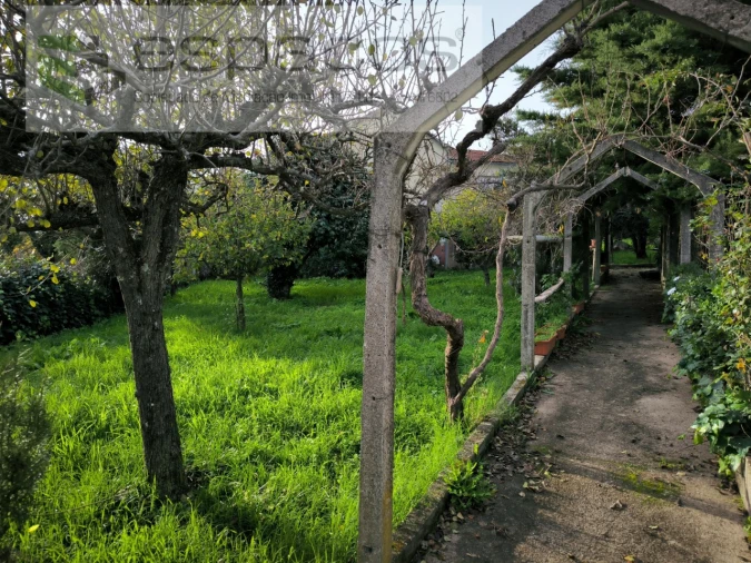 Moradia T3 para Venda em Sarzedas Foto 16