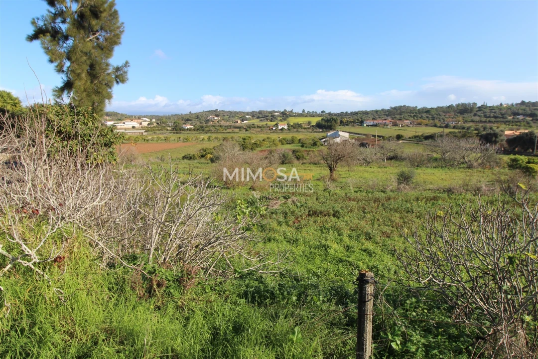 Terreno para Venda em Lagos (São Sebastião e Santa Maria) Foto 2