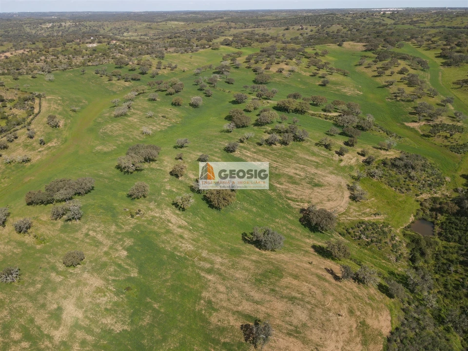 Terreno Agricola ou Rústico para Venda em Santa Clara-A-Nova e Gomes Aires Foto 7