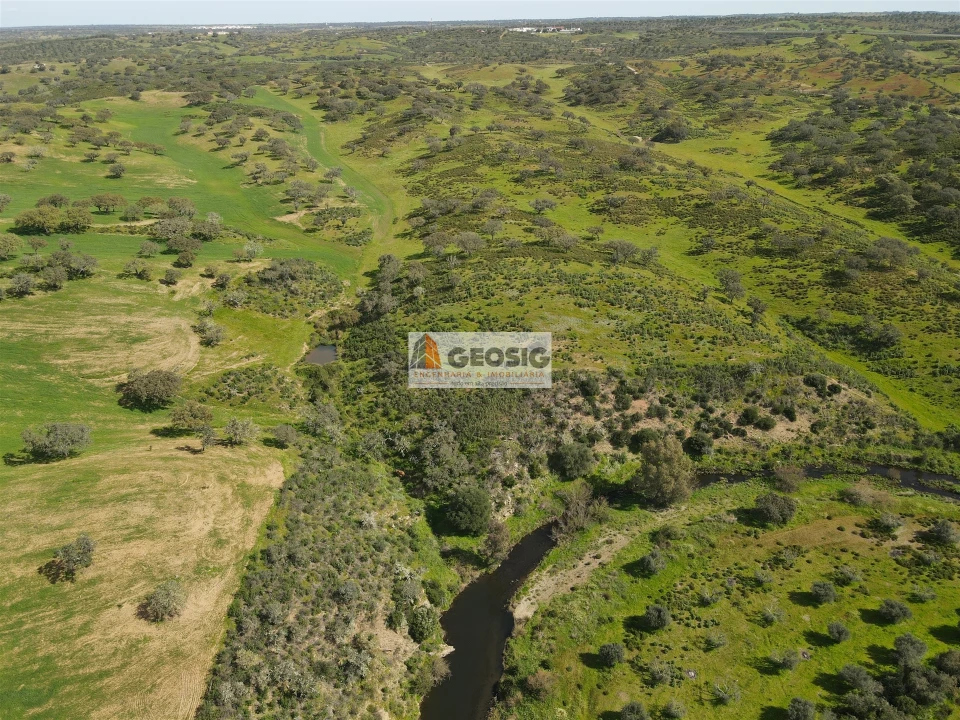Terreno Agricola ou Rústico para Venda em Santa Clara-A-Nova e Gomes Aires Foto 6