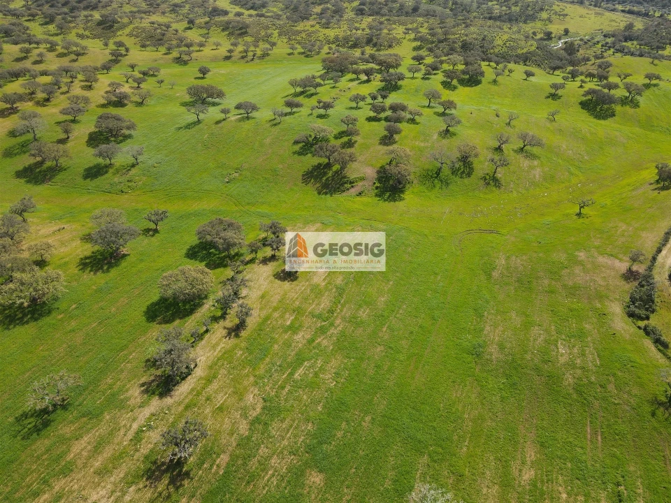Terreno Agricola ou Rústico para Venda em Santa Clara-A-Nova e Gomes Aires Foto 8