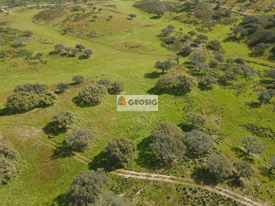 Terreno Agricola ou Rústico para Venda em Santa Clara-A-Nova e Gomes Aires Foto 12