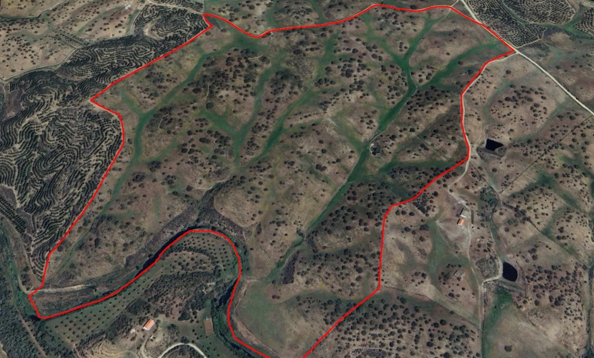 Terreno Agricola ou Rústico para Venda em Santa Clara-A-Nova e Gomes Aires Foto 14