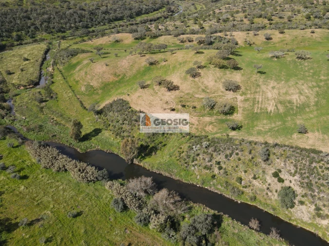 Terreno Agricola ou Rústico para Venda em Santa Clara-A-Nova e Gomes Aires Foto 4