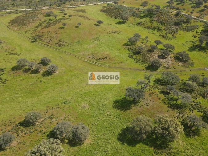 Terreno Agricola ou Rústico para Venda em Santa Clara-A-Nova e Gomes Aires Foto 13