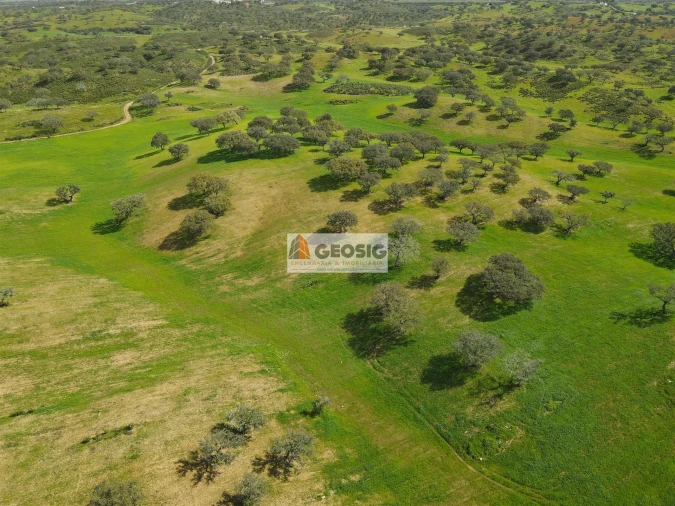 Terreno Agricola ou Rústico para Venda em Santa Clara-A-Nova e Gomes Aires Foto 9
