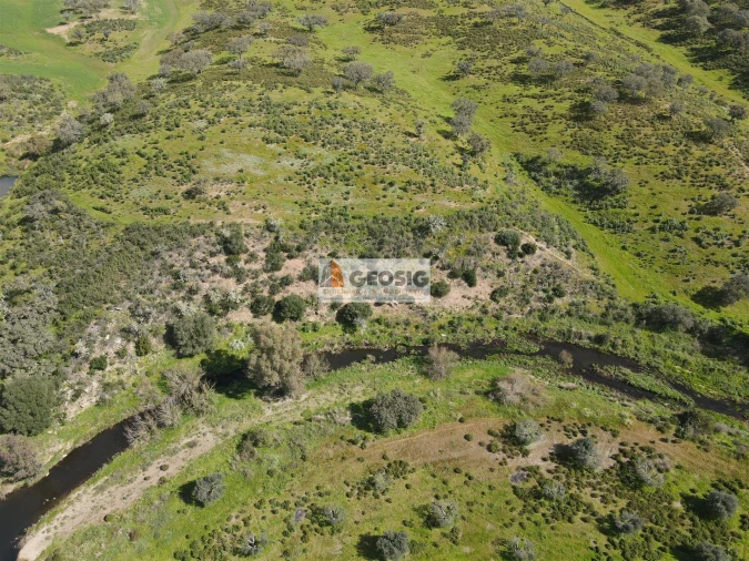 Terreno Agricola ou Rústico para Venda em Santa Clara-A-Nova e Gomes Aires Foto 3