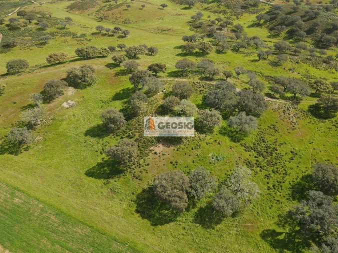 Terreno Agricola ou Rústico para Venda em Santa Clara-A-Nova e Gomes Aires Foto 11