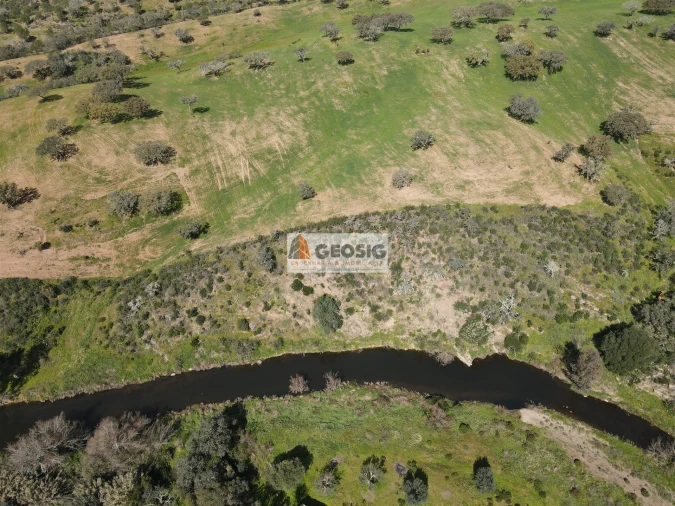 Terreno Agricola ou Rústico para Venda em Santa Clara-A-Nova e Gomes Aires Foto 2