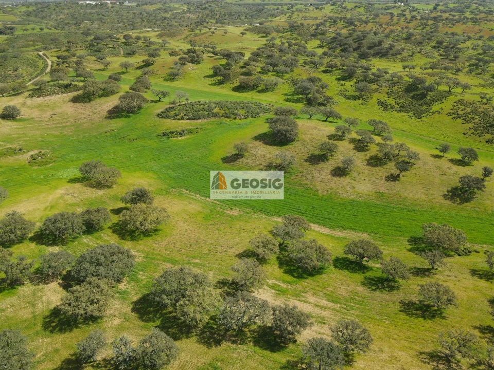 Terreno Agricola ou Rústico para Venda em Santa Clara-A-Nova e Gomes Aires Foto 10
