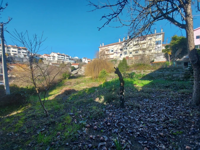 Terreno para Venda em Repeses e São Salvador Foto 5
