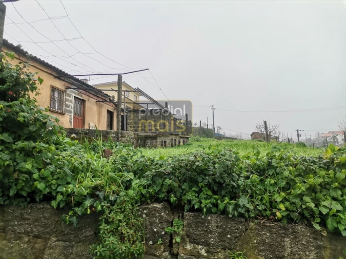 Moradia T3 para Venda em Airão Santa Maria, Airão São João e Vermil Foto 4