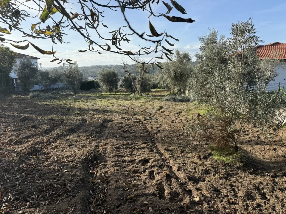 Terreno para Venda em São Miguel de Vila Boa Foto 1