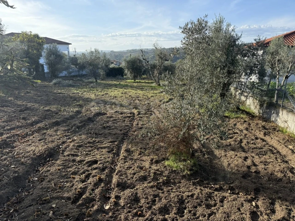 Terreno para Venda em São Miguel de Vila Boa Foto 2