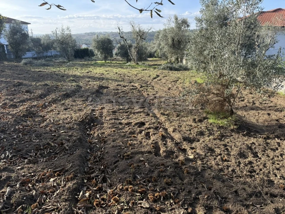 Terreno para Venda em São Miguel de Vila Boa Foto 6
