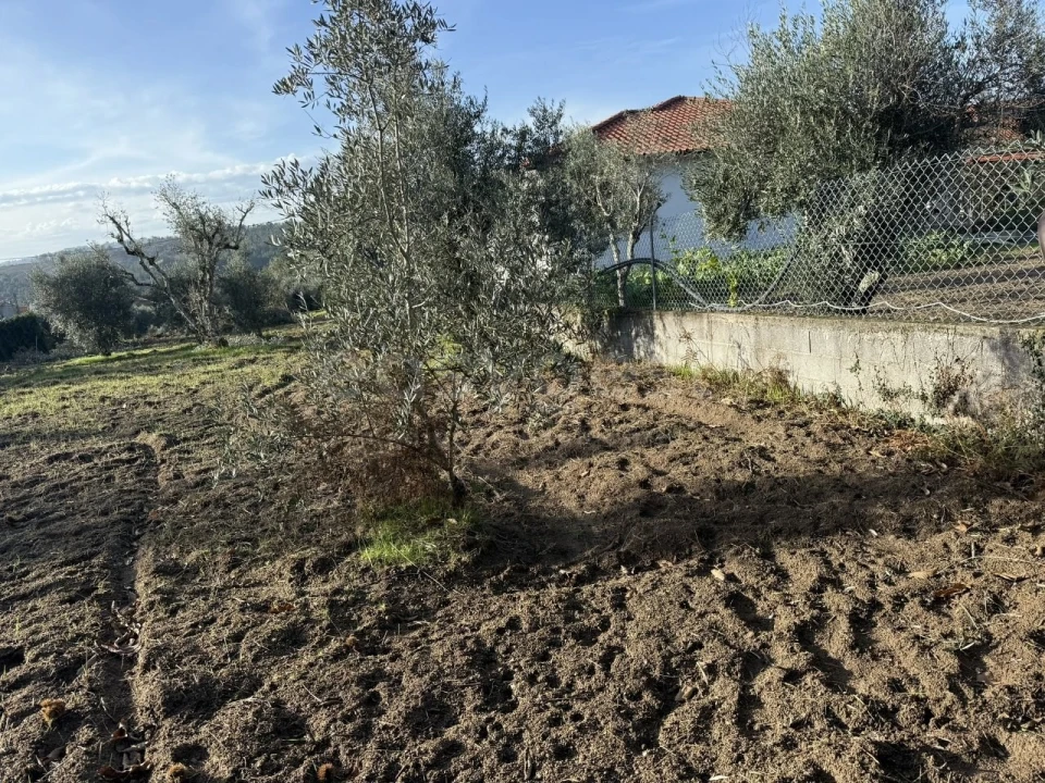 Terreno para Venda em São Miguel de Vila Boa Foto 8