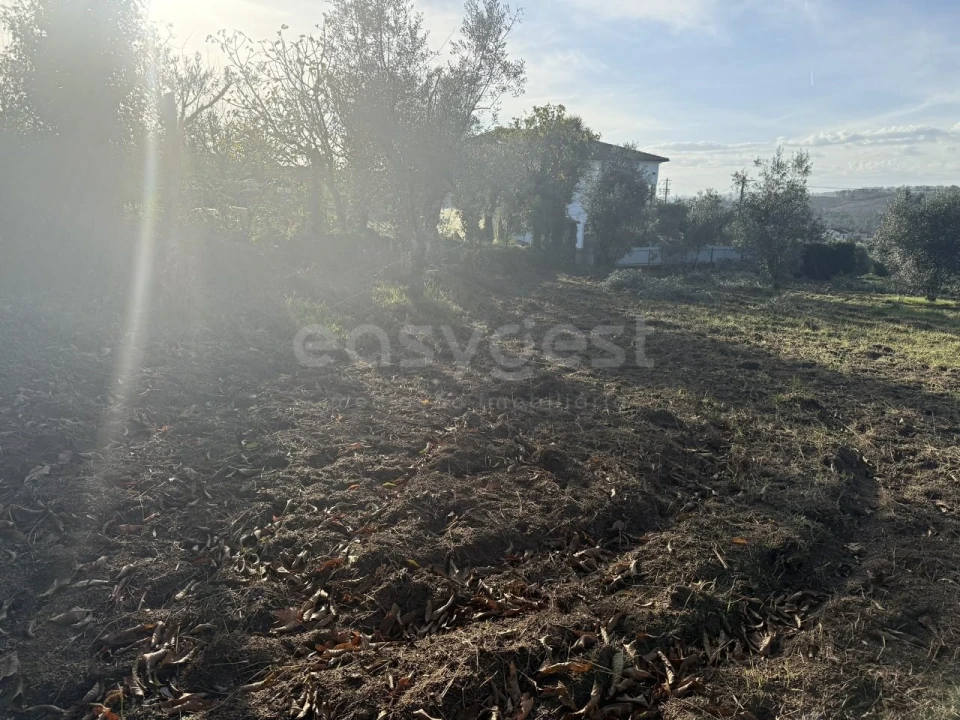 Terreno para Venda em São Miguel de Vila Boa Foto 10