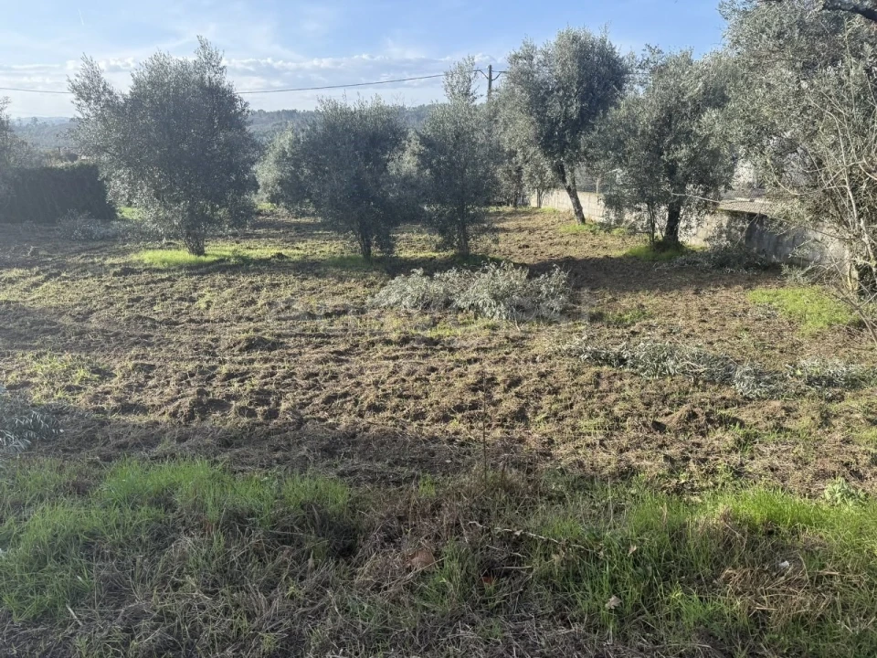 Terreno para Venda em São Miguel de Vila Boa Foto 14