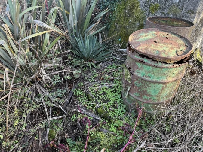 Terreno para Venda em São Miguel de Vila Boa Foto 4