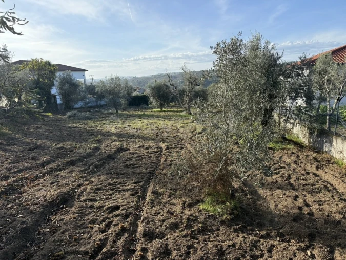 Terreno para Venda em São Miguel de Vila Boa Foto 7