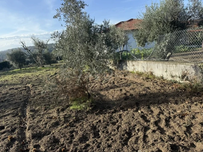 Terreno para Venda em São Miguel de Vila Boa Foto 8