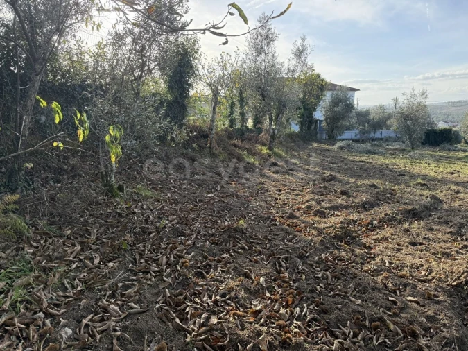 Terreno para Venda em São Miguel de Vila Boa Foto 9