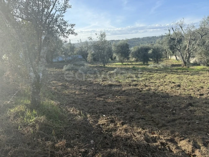 Terreno para Venda em São Miguel de Vila Boa Foto 11