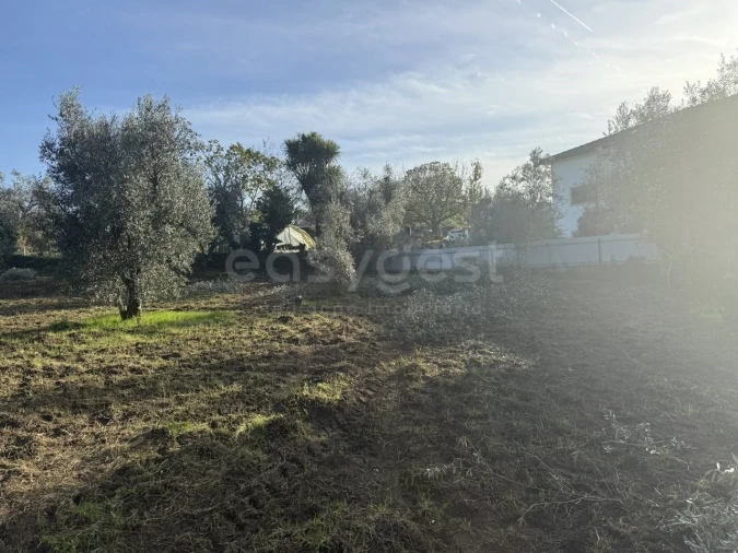 Terreno para Venda em São Miguel de Vila Boa Foto 16