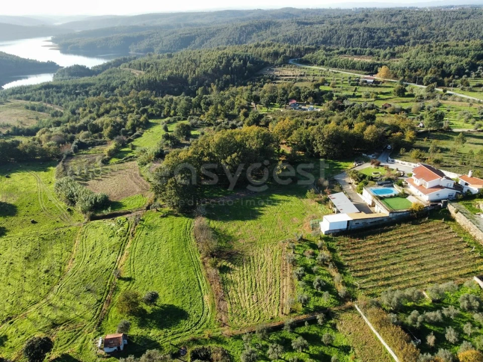 Quinta T5 para Venda em Ázere e Covelo Foto 6