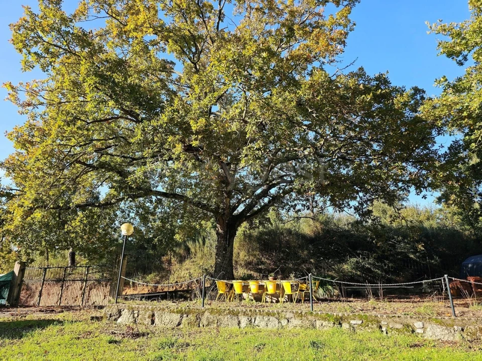 Quinta T5 para Venda em Ázere e Covelo Foto 37