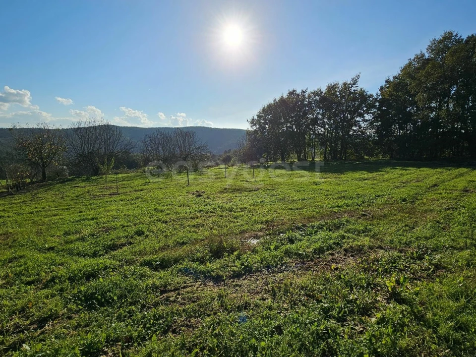 Quinta T5 para Venda em Ázere e Covelo Foto 42