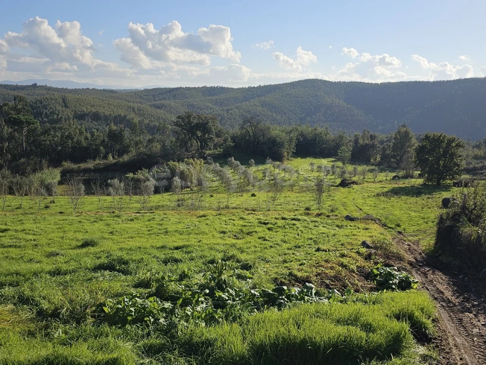Quinta T5 para Venda em Ázere e Covelo Foto 43