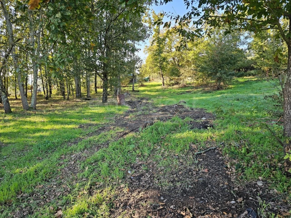 Quinta T5 para Venda em Ázere e Covelo Foto 44