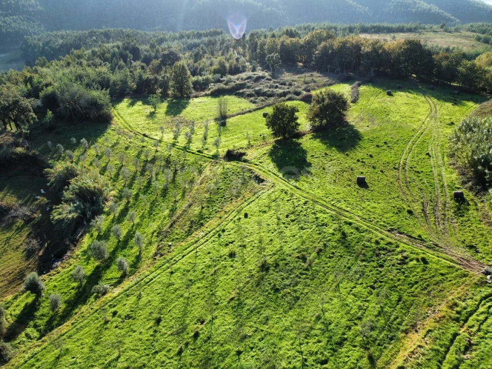 Quinta T5 para Venda em Ázere e Covelo Foto 56
