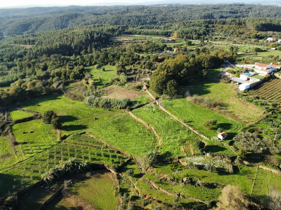 Quinta T5 para Venda em Ázere e Covelo Foto 57