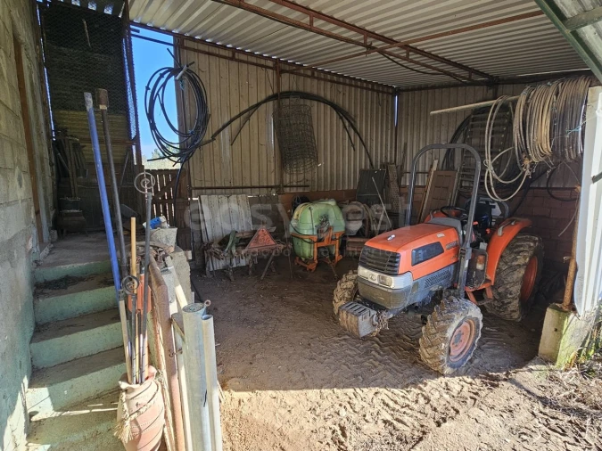 Quinta T5 para Venda em Ázere e Covelo Foto 41