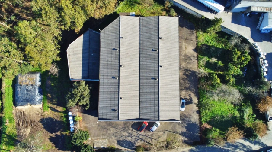 Armazém para Venda em Bougado (São Martinho e Santiago) Foto 13