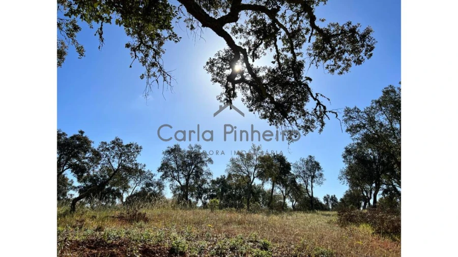 Terreno para Venda em Colos Foto 2