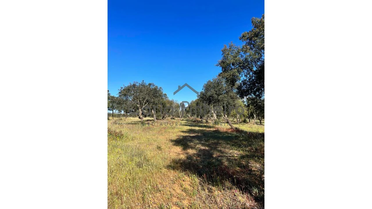 Terreno para Venda em Colos Foto 1